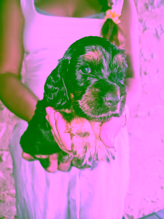 Bilbo — 1 mois